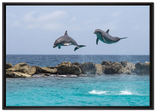 springende Delphine auf Leinwandbild gerahmt Größe 100x70