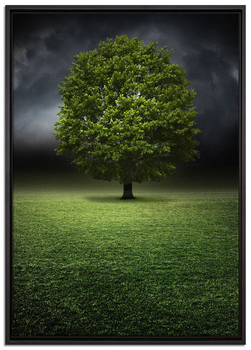 einzelner Baum auf grüner Wiese auf Leinwandbild gerahmt Größe 100x70