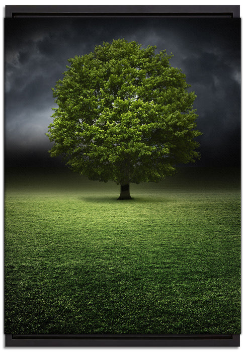 einzelner Baum auf grüner Wiese auf Leinwandbild gerahmt Größe 60x40