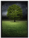 einzelner Baum auf grüner Wiese auf Leinwandbild gerahmt Größe 80x60