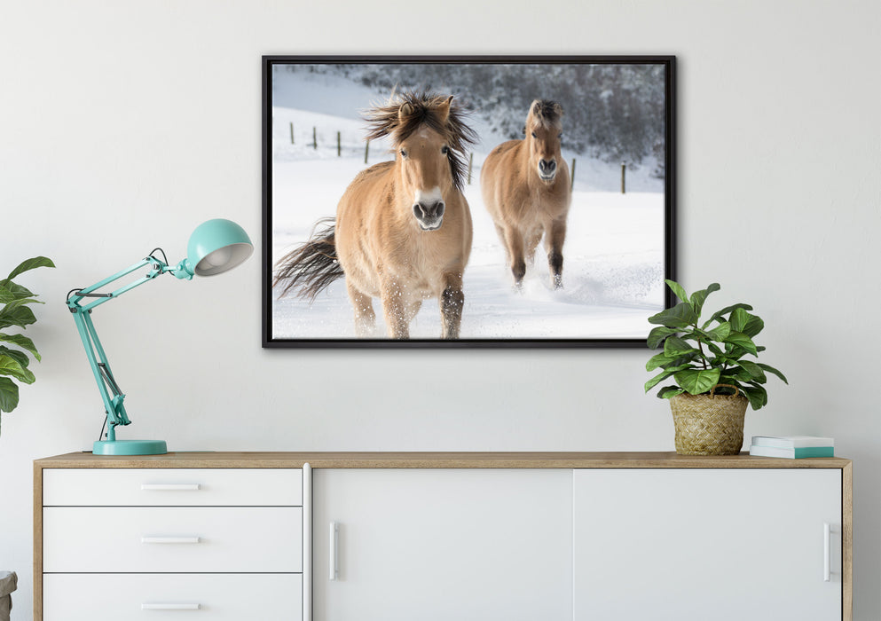 Pferd im Schnee auf Leinwandbild gerahmt verschiedene Größen im Wohnzimmer