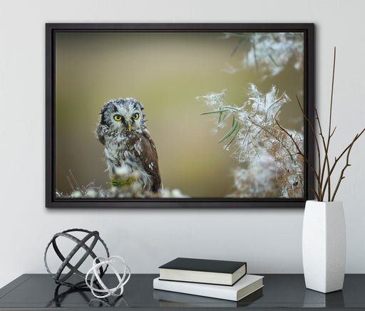 Kauz bestaunt Blatt auf Leinwandbild gerahmt mit Kirschblüten