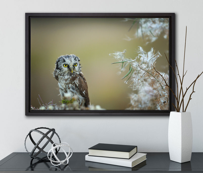 Kauz bestaunt Blatt auf Leinwandbild gerahmt mit Kirschblüten