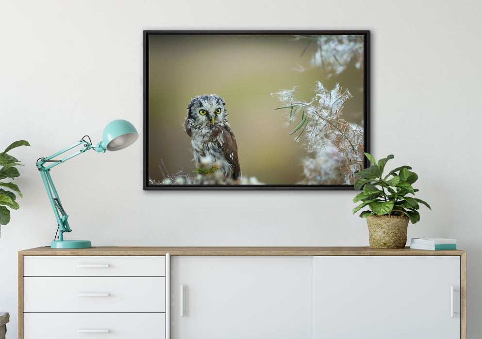 Kauz bestaunt Blatt auf Leinwandbild gerahmt verschiedene Größen im Wohnzimmer