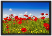Mohnwiese auf Leinwandbild gerahmt Größe 60x40