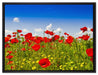 Mohnwiese auf Leinwandbild gerahmt Größe 80x60