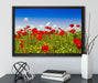 Mohnwiese auf Leinwandbild gerahmt mit Kirschblüten