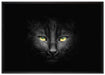 Dark schwarzes Katzengesicht auf Leinwandbild gerahmt Größe 100x70
