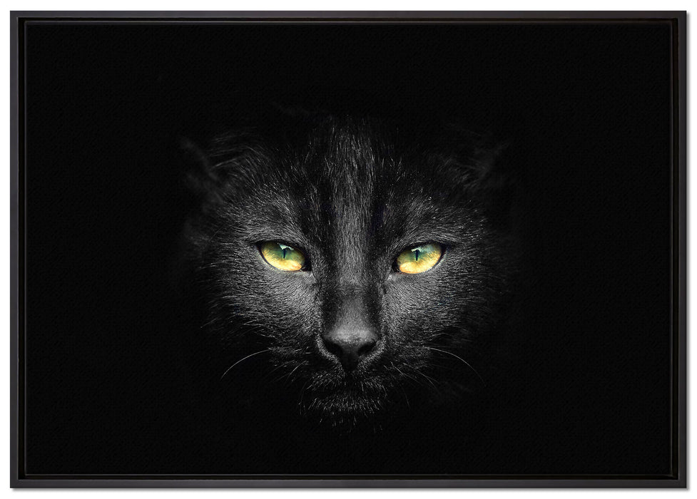Dark schwarzes Katzengesicht auf Leinwandbild gerahmt Größe 100x70