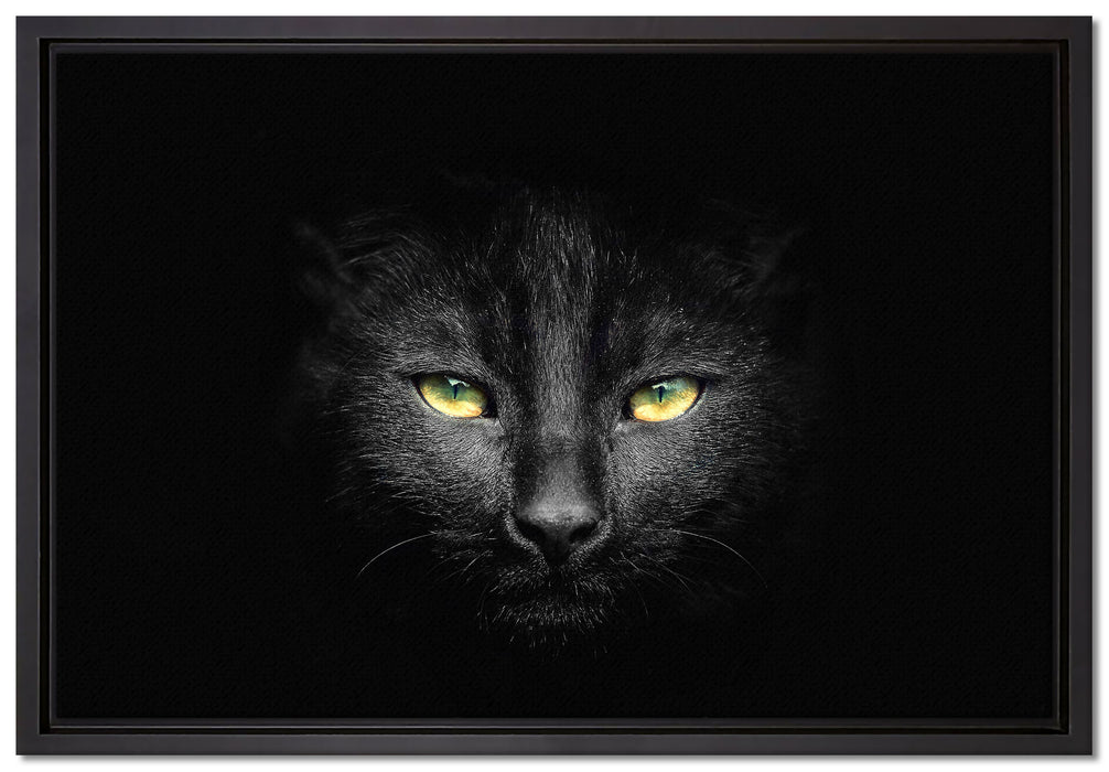 Dark schwarzes Katzengesicht auf Leinwandbild gerahmt Größe 60x40