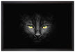 Dark schwarzes Katzengesicht auf Leinwandbild gerahmt Größe 60x40