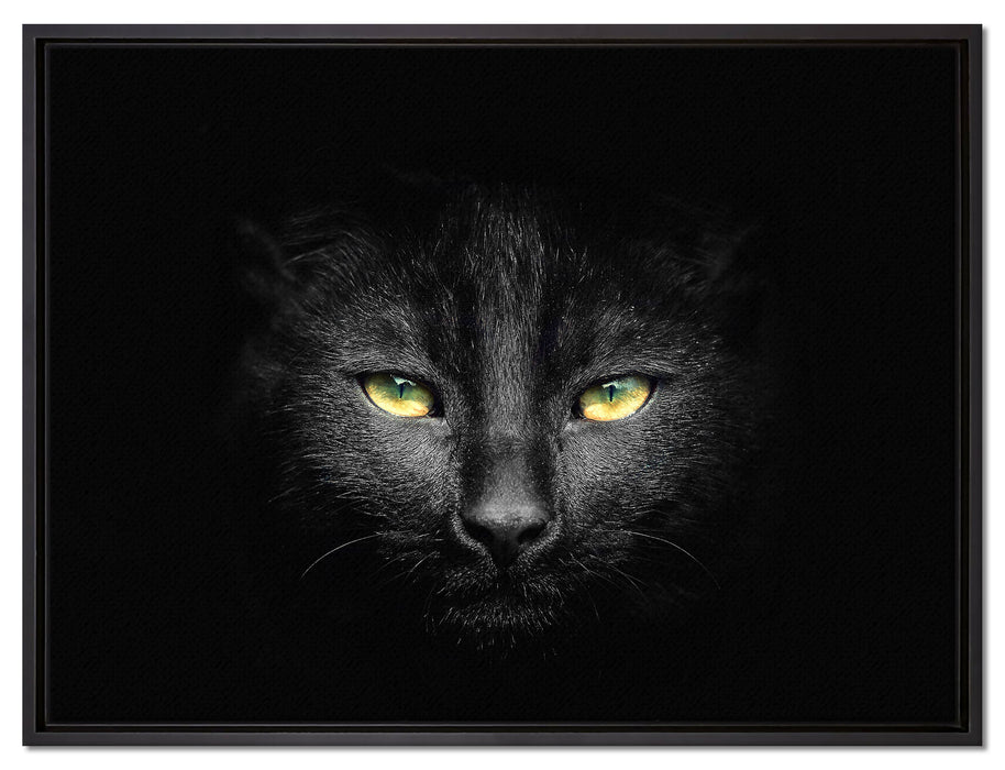 Dark schwarzes Katzengesicht auf Leinwandbild gerahmt Größe 80x60