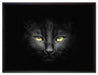Dark schwarzes Katzengesicht auf Leinwandbild gerahmt Größe 80x60
