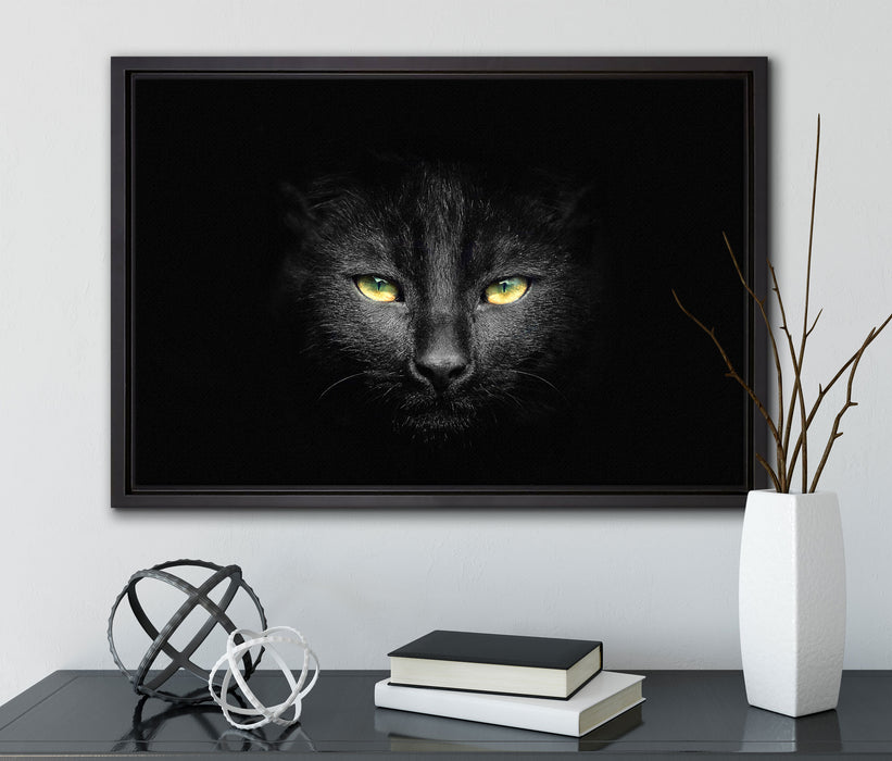 Dark schwarzes Katzengesicht auf Leinwandbild gerahmt mit Kirschblüten