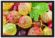Leckere Stachelbeeren auf Leinwandbild gerahmt Größe 60x40