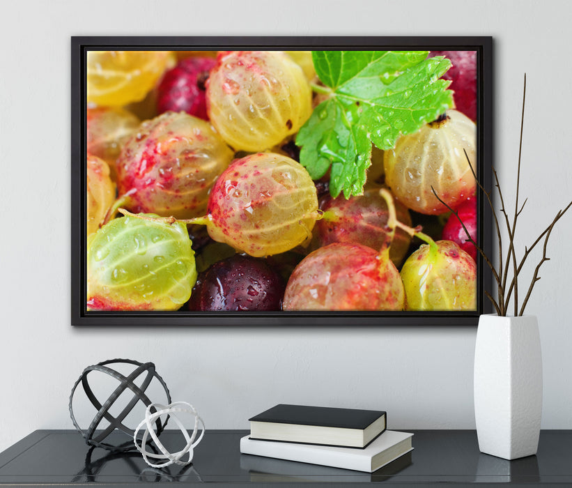 Leckere Stachelbeeren auf Leinwandbild gerahmt mit Kirschblüten