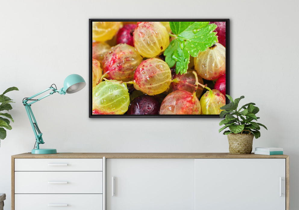 Leckere Stachelbeeren auf Leinwandbild gerahmt verschiedene Größen im Wohnzimmer