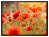 Mohnwiese auf Leinwandbild gerahmt Größe 80x60
