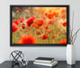 Mohnwiese auf Leinwandbild gerahmt mit Kirschblüten