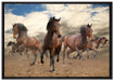 Western Pferde Cowboy auf Leinwandbild gerahmt Größe 100x70
