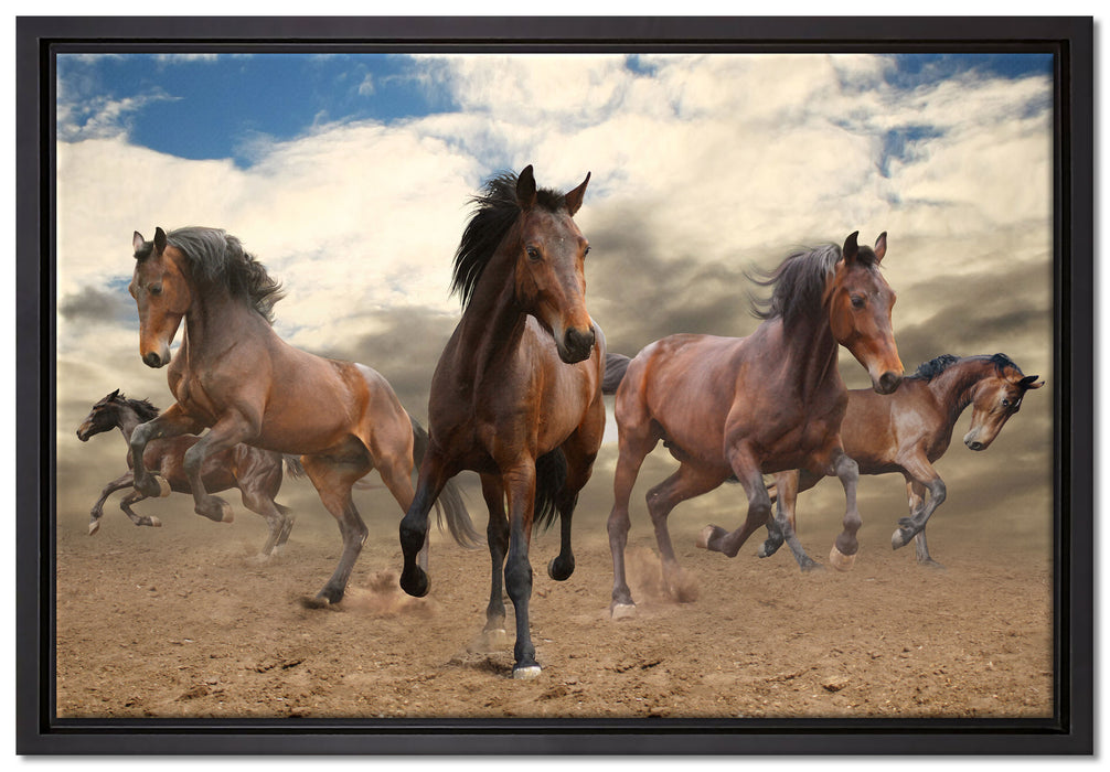 Western Pferde Cowboy auf Leinwandbild gerahmt Größe 60x40