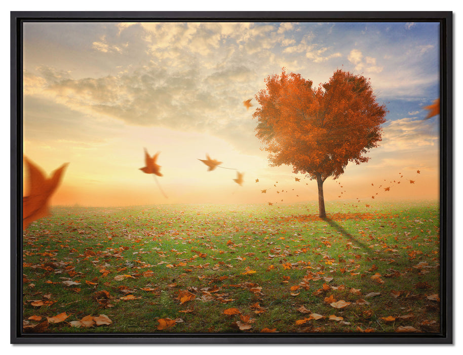 Herzbaum im Herbst auf Leinwandbild gerahmt Größe 80x60