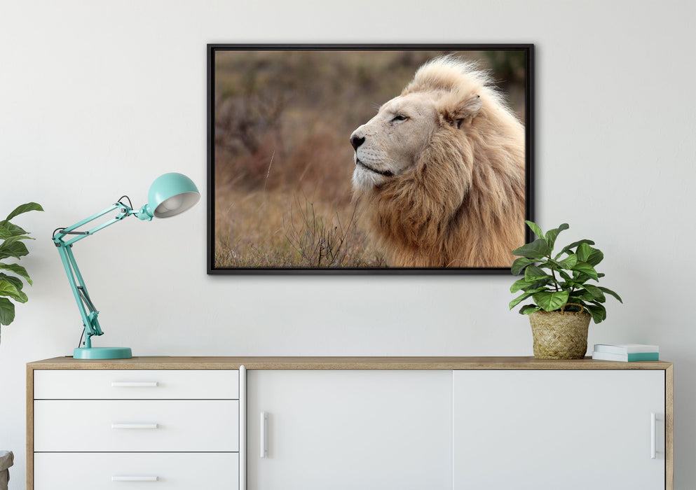 Weißer Löwe im Gebirge auf Leinwandbild gerahmt verschiedene Größen im Wohnzimmer