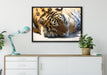 Verschlafener Tiger auf Leinwandbild gerahmt verschiedene Größen im Wohnzimmer