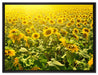 Riesiges Sonnenblumenfeld auf Leinwandbild gerahmt Größe 80x60
