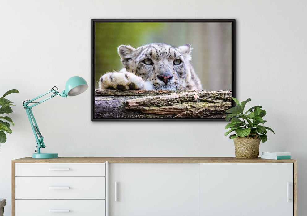 Schöner Leopard auf Leinwandbild gerahmt verschiedene Größen im Wohnzimmer