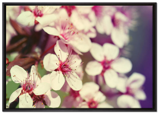 Kirschblüten Retro auf Leinwandbild gerahmt Größe 100x70