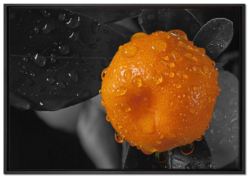 Orange mit Wassertropfen auf Leinwandbild gerahmt Größe 100x70