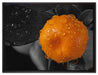 Orange mit Wassertropfen auf Leinwandbild gerahmt Größe 80x60