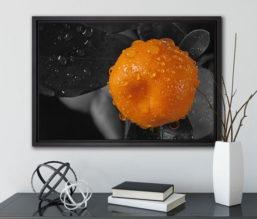Orange mit Wassertropfen auf Leinwandbild gerahmt mit Kirschblüten