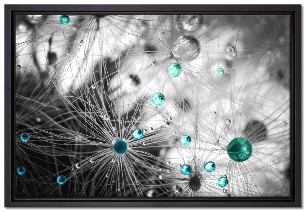Wassertropfen auf Pusteblume auf Leinwandbild gerahmt Größe 60x40