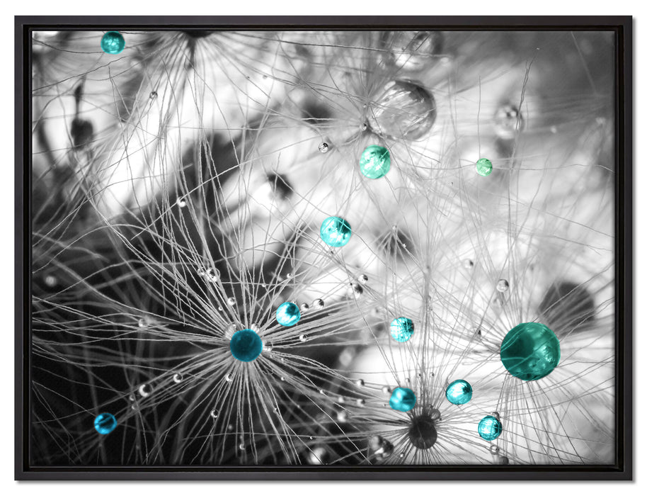 Wassertropfen auf Pusteblume auf Leinwandbild gerahmt Größe 80x60