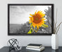 Nahaufnahme einer Sonnenblume auf Leinwandbild gerahmt mit Kirschblüten