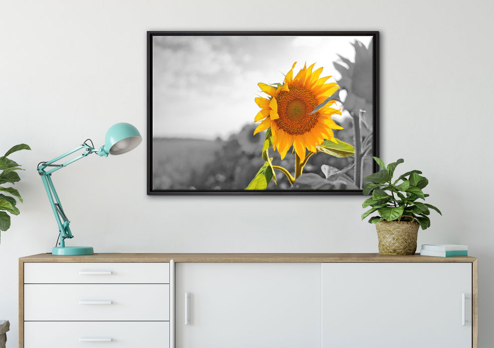 Nahaufnahme einer Sonnenblume auf Leinwandbild gerahmt verschiedene Größen im Wohnzimmer