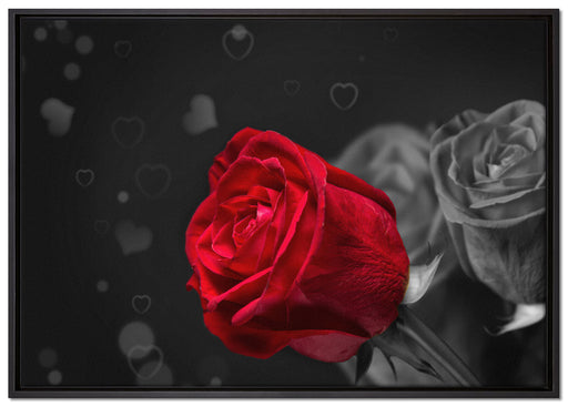 rote Rosen zum Valentinstag auf Leinwandbild gerahmt Größe 100x70