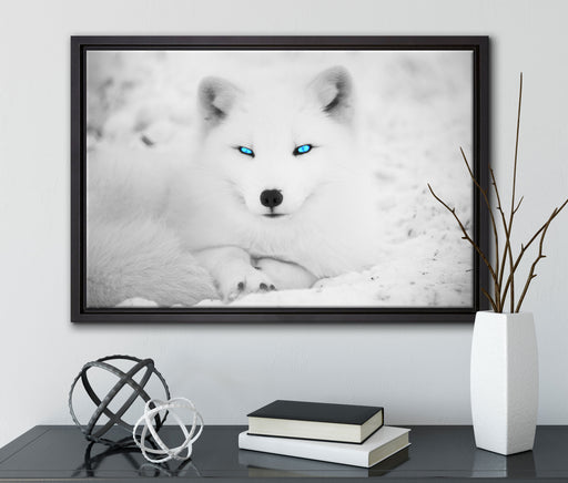 Polarfuchs mit strahlenden Augen auf Leinwandbild gerahmt mit Kirschblüten