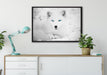 Polarfuchs mit strahlenden Augen auf Leinwandbild gerahmt verschiedene Größen im Wohnzimmer