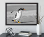 watschelnder Pinguin am Strand auf Leinwandbild gerahmt mit Kirschblüten