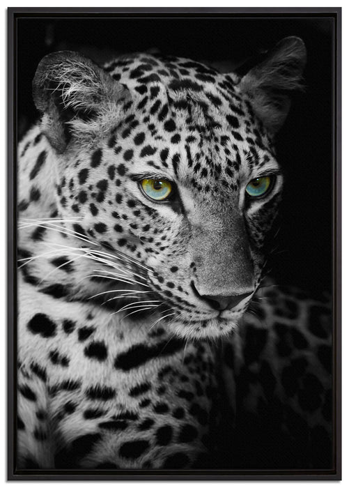 Leopardenkopf auf Leinwandbild gerahmt Größe 100x70