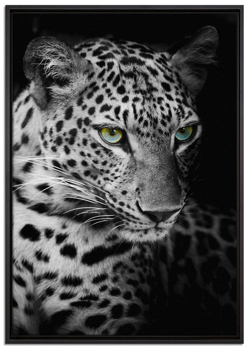 Leopardenkopf auf Leinwandbild gerahmt Größe 100x70