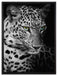 Leopardenkopf auf Leinwandbild gerahmt Größe 80x60