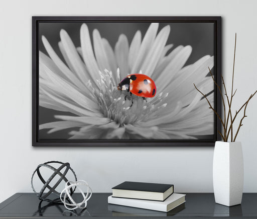 leuchtender Marienkäfer auf Blüte auf Leinwandbild gerahmt mit Kirschblüten