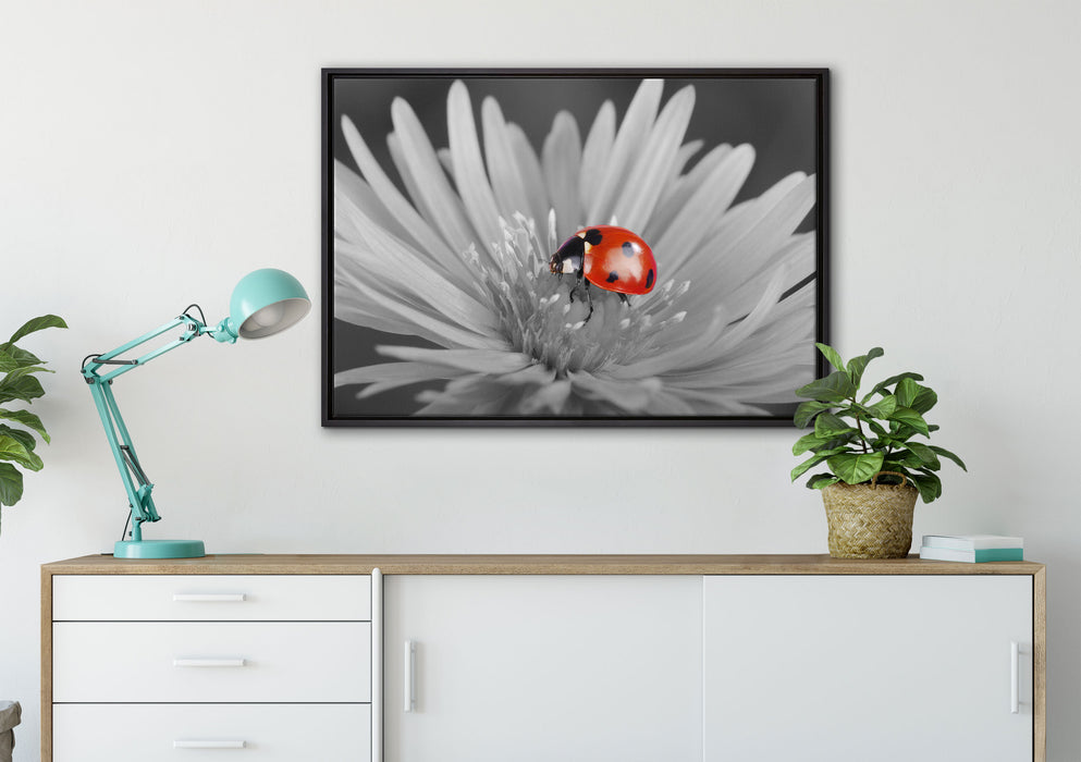 leuchtender Marienkäfer auf Blüte auf Leinwandbild gerahmt verschiedene Größen im Wohnzimmer