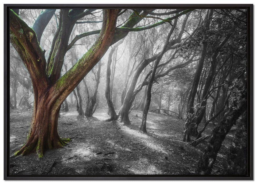 einsamer Baum in tristem Grau auf Leinwandbild gerahmt Größe 100x70