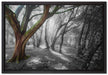 einsamer Baum in tristem Grau auf Leinwandbild gerahmt Größe 60x40