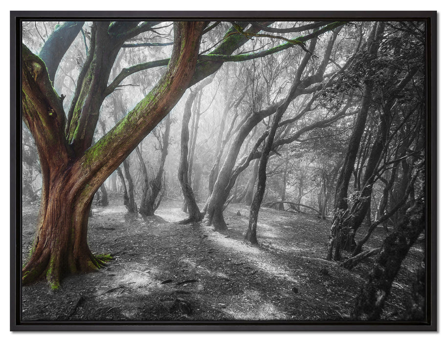 einsamer Baum in tristem Grau auf Leinwandbild gerahmt Größe 80x60
